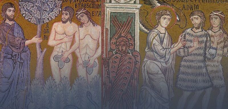 O Domingo do Perdão